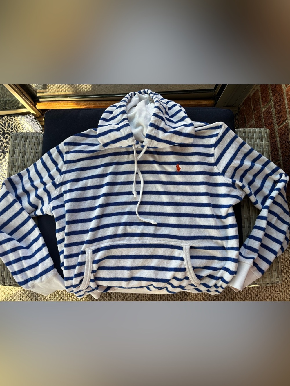 Polo Ralph Lauren Hooded Sweatshirt